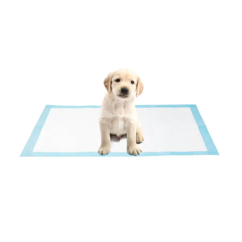 AllPetSolutions 100 x Medium Disposable Puppy Pads - 60 x 40cm