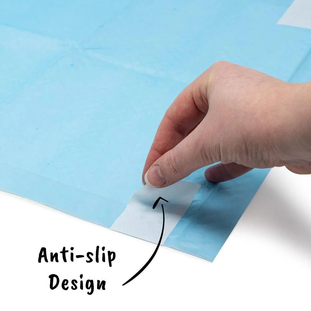 AllPetSolutions 100 x XL Disposable Puppy Pads - 60 x 90cm