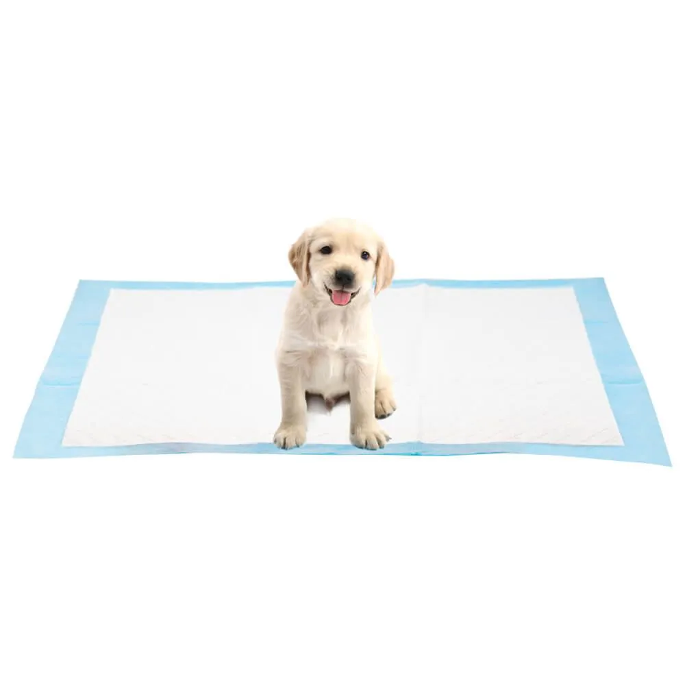 AllPetSolutions 100 x XL Disposable Puppy Pads - 60 x 90cm