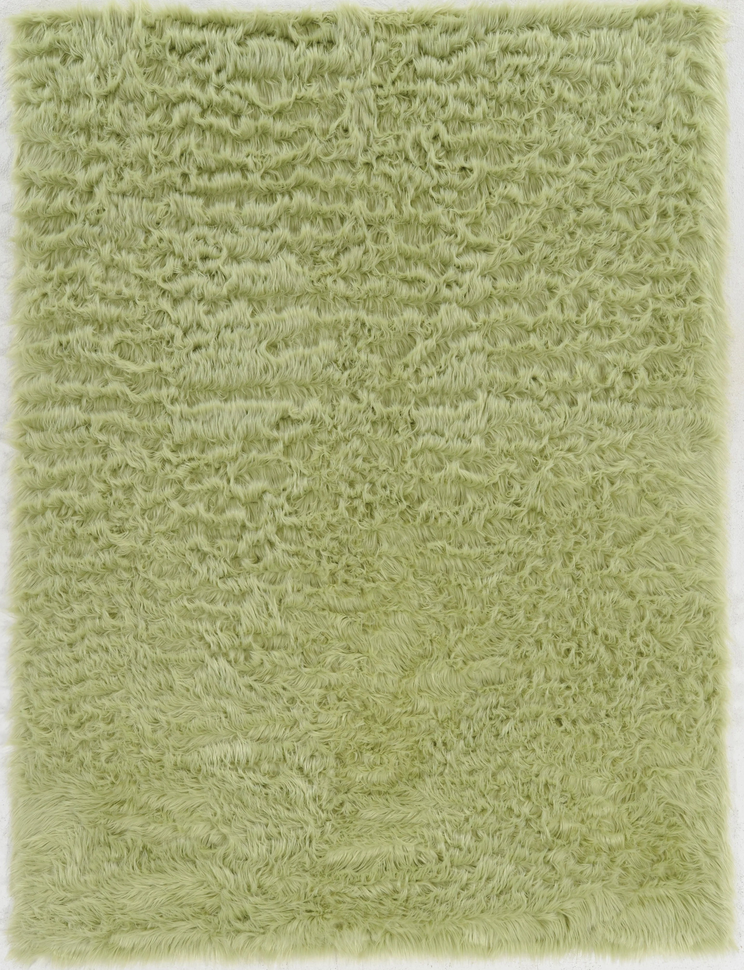 Benzara 7 X 5 Feet Transitional Faux Fur Rug with Suede Leather Backing, Green