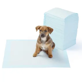 Kiki N Pooch Regular Training Puppy Pad for Dogs