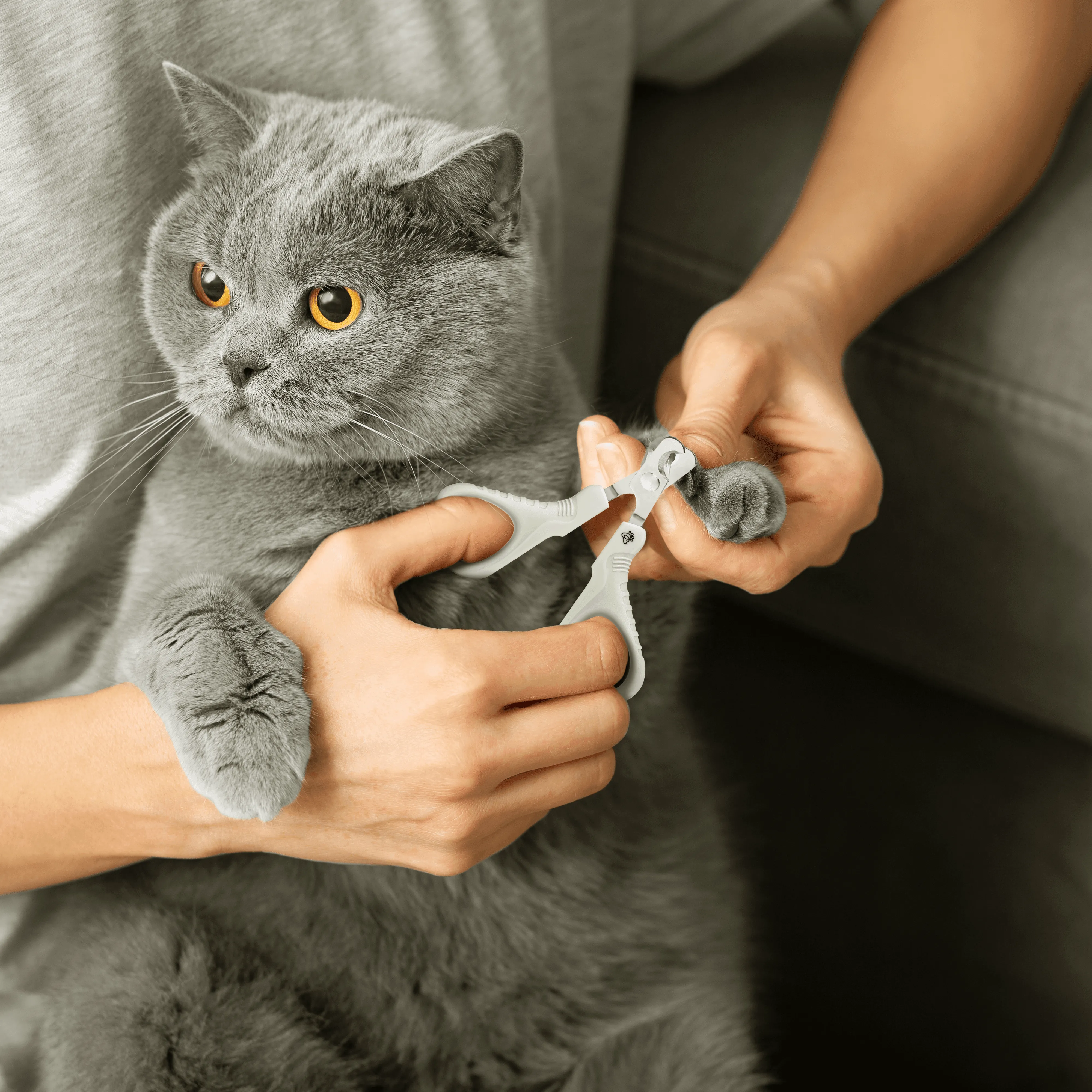 Nail Clippers for Cats & Small Dogs