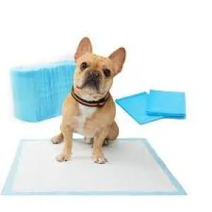 Pet Training Pads