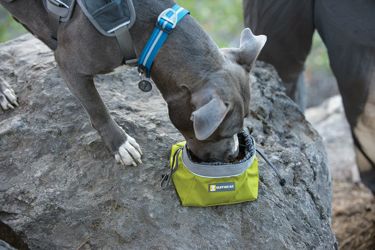 Quencher Cinch Top™ - Portable Dog Bowl (Pacific Blue)