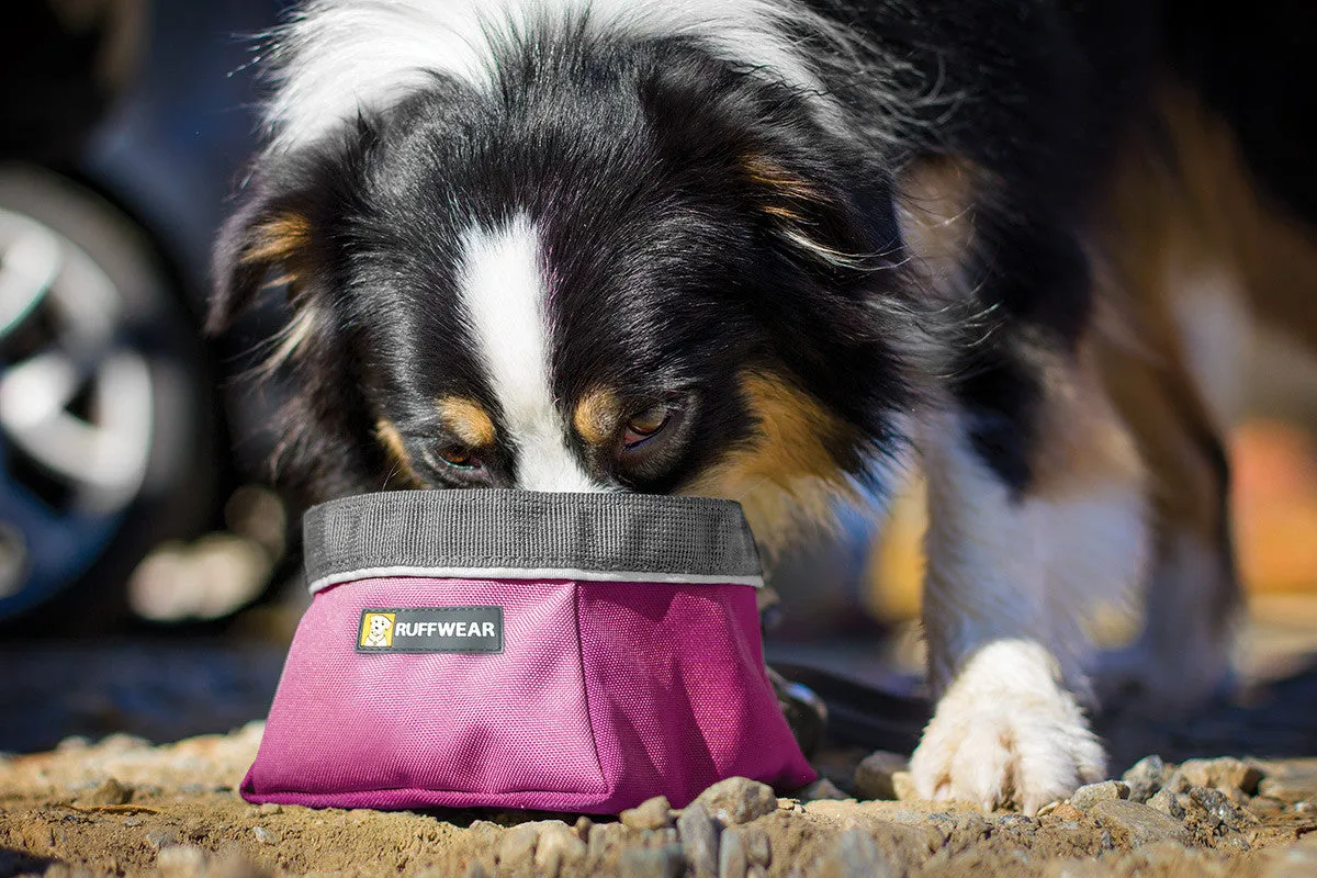 Quencher™ - Portable Dog Bowl (Purple Dusk)