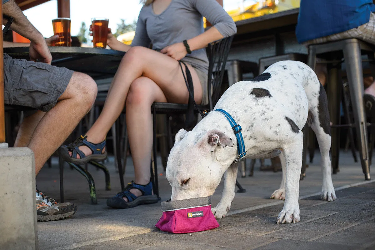 Quencher™ - Portable Dog Bowl (Purple Dusk)