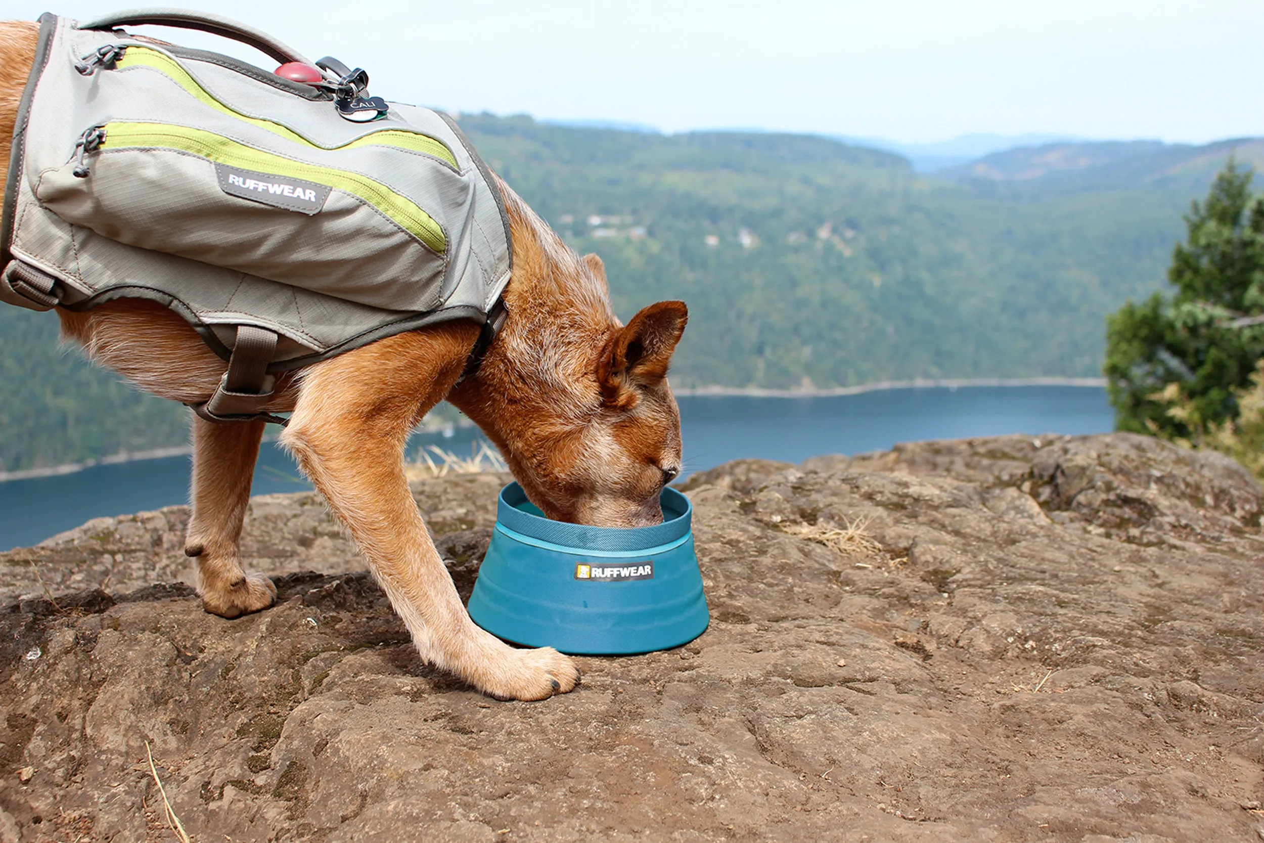 Ruffwear Bivy Dog Bowl