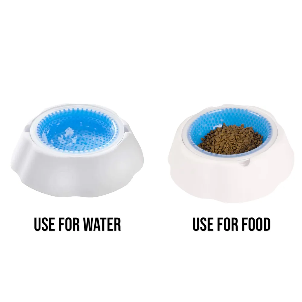 Talking Dog Club Water Cooling Bowl for Dogs (White/Blue)