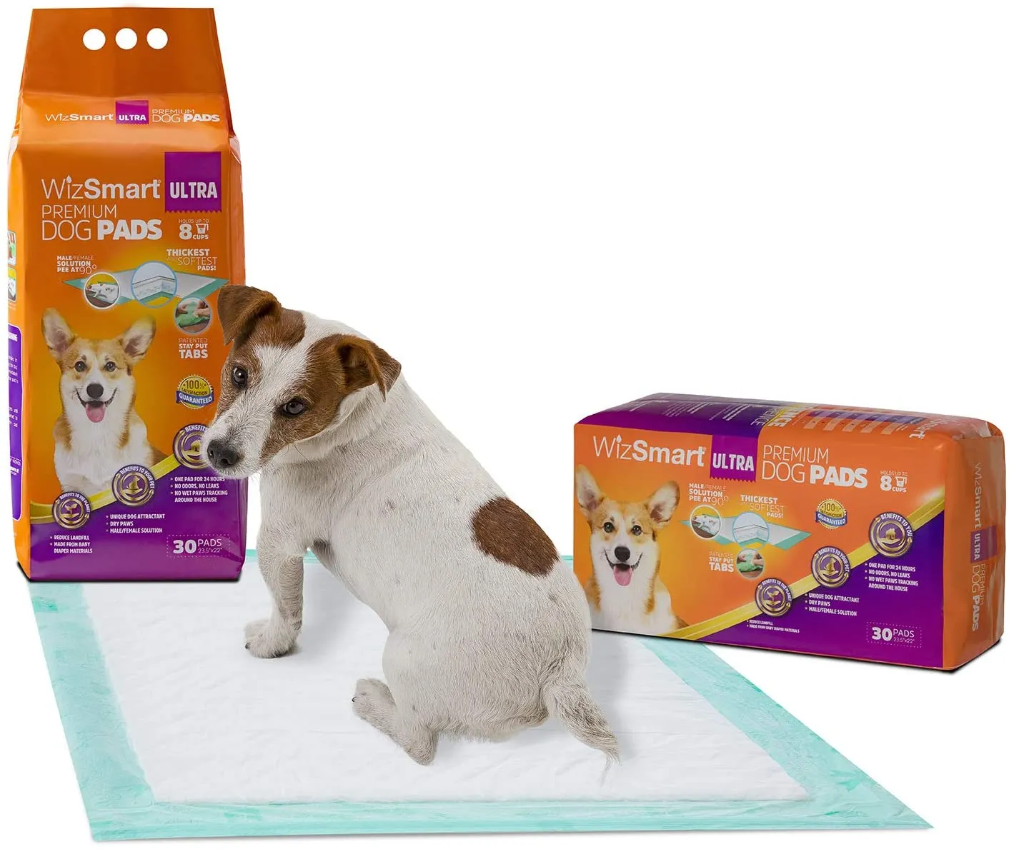 WizSmart, All-Day Dry Premium Dog and Puppy Potty Training Pads, Quick Drying, Absorbent, and Odor Free with Stay Put Tabs, 8 Cup Ultra 30 Count